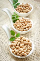 Soy pods