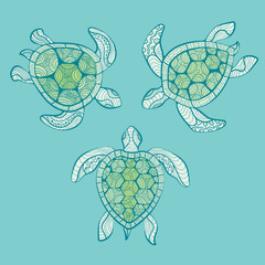 Decorative turtles in water. Vector illustration