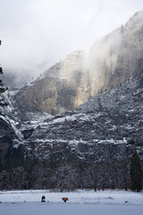 yosemite winter