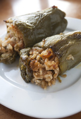포토시리즈(해외여행)