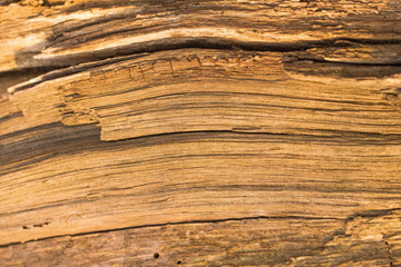 Wooden old texture