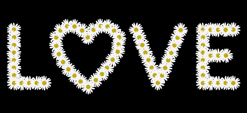 The word love made with daisies flower
