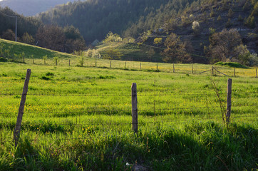 Fototapeta na wymiar Barb wire fence