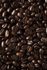 Organic Dry Roasted Coffee Beans