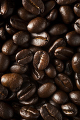 Organic Dry Roasted Coffee Beans