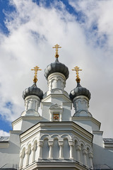 Fototapeta na wymiar Cathedral of the Vladimir icon