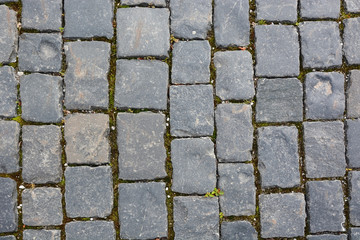 Old gray pavement. Picture can be used as a background