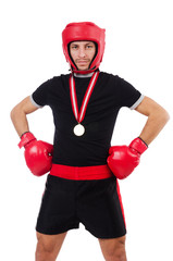 Funny boxer isolated on the white