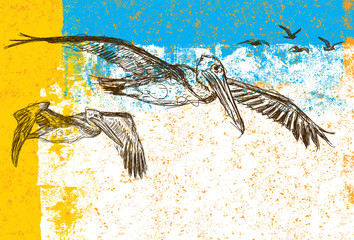 Naklejka premium Sketchy pelicans and seagulls
