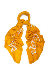 Woman scarf isolated on the white background