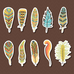 Set of ten feathers
