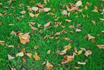 포토시리즈(해외여행)