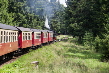 Obraz premium Kolej wąskotorowa Harz