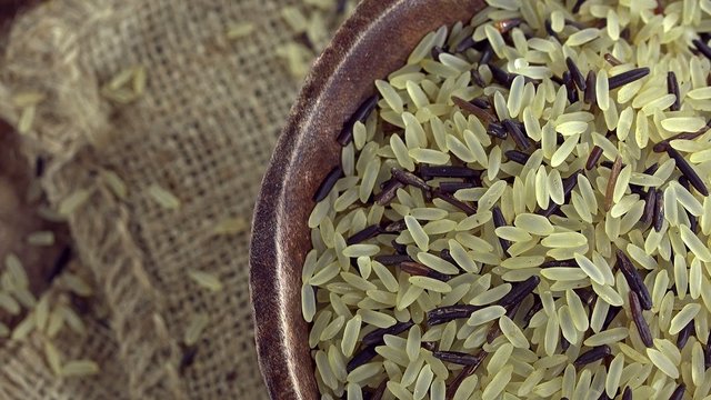 Raw mixed Rice (seamless loopable)
