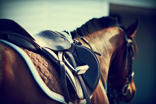 Fototapeta Saddle with stirrups