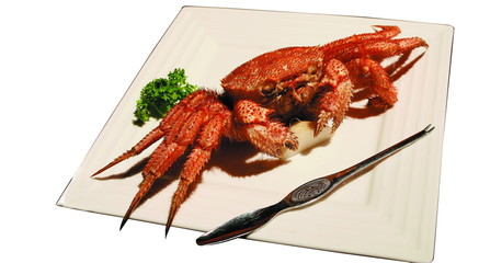 포토시리즈(해외여행)