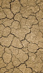 cracked ground for background
