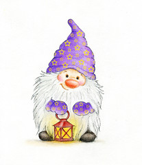 Cute gnome - 79202181
