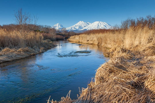 Yellow dry grass, River and snow vulcan.