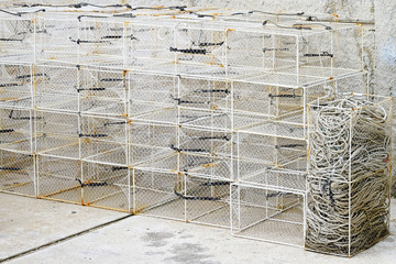 Fish trap cages
