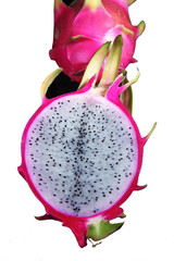 포토시리즈(해외여행)