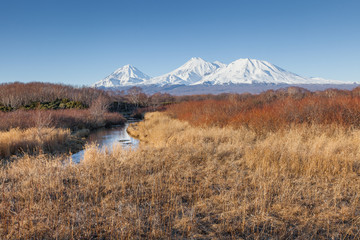 Yellow dry grass, River and snow vulcan.