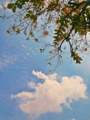 Blue sky background and wallpaper