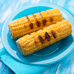 Glass plate with roasted sweet corn, close-up, studio shot