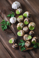 Fototapeta na wymiar Bourgogne snails with garlic butter, selective focus