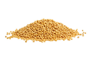 Yellow mustard seeds on a white background