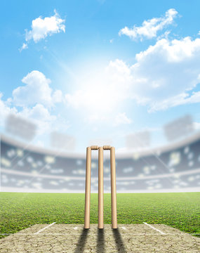 Cricket Background Images – Browse 40,257 Stock Photos, Vectors, and Video  | Adobe Stock