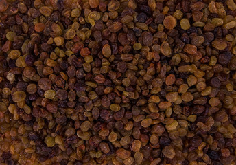 Rains for background