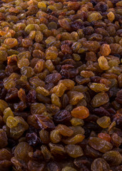 Raisins in horizontal view