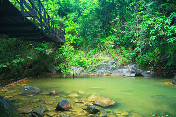 Fototapeta na wymiar Asia Thailand jungle landscape