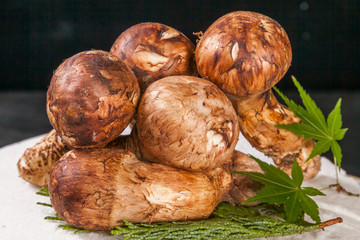 きのこ　松茸　 High-quality mushroom matsutake mushroom