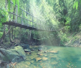 Naklejki  most linowy nad rzeką w dżungli
