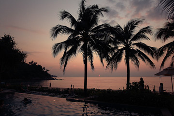 Fototapeta na wymiar sunset sea beach palms pool