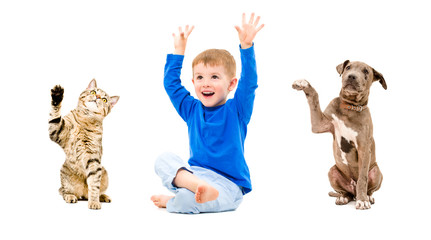 Joyful boy, cat and dog
