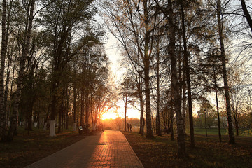 Obraz premium Autumn in the city landscape