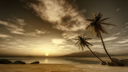 Plakaty  palma o zachodzie słońca