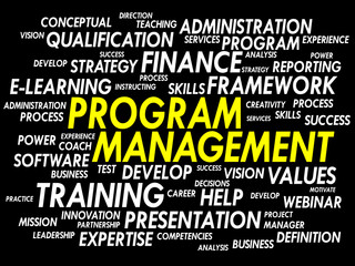 Program Management word cloud, business concept