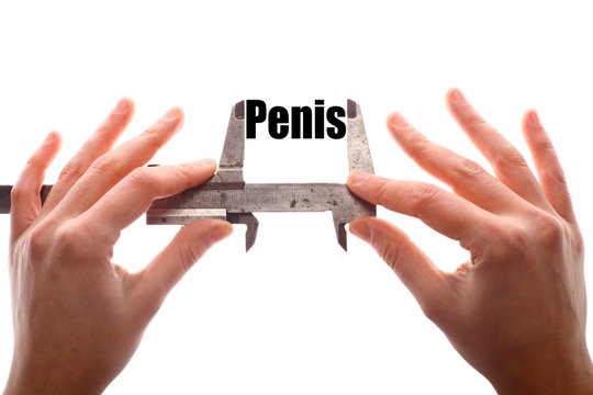 Penis size