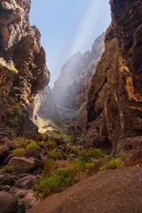 Foto op Canvas Famous canyon Masca at Tenerife - Canary © Nikolai Sorokin