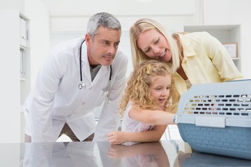 Obraz premium Veterinarian and cat owner looking at cat