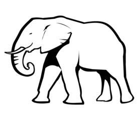 Obraz premium Elephant Outline