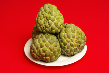 포토시리즈(해외여행)