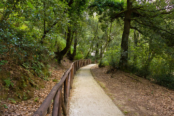Wonderful green landscape