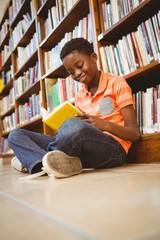 Cute boy reading book in library © WavebreakMediaMicro