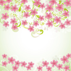Obraz na płótnie Canvas cherry blossom flowers background