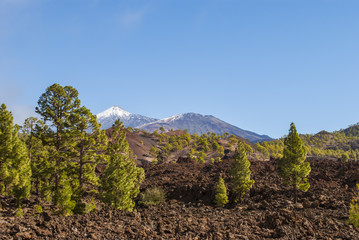 Tenerife, Teide